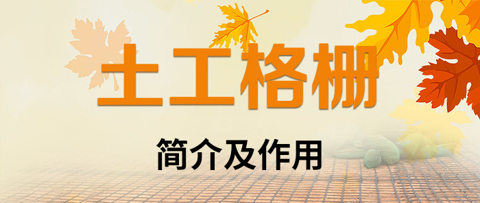 դ鼰Ӧ